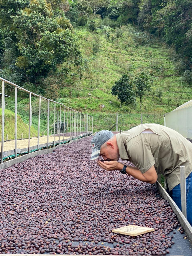 Origin: Panama