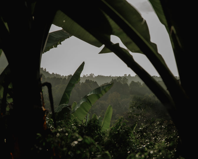 Point of Origin: Bette Buna